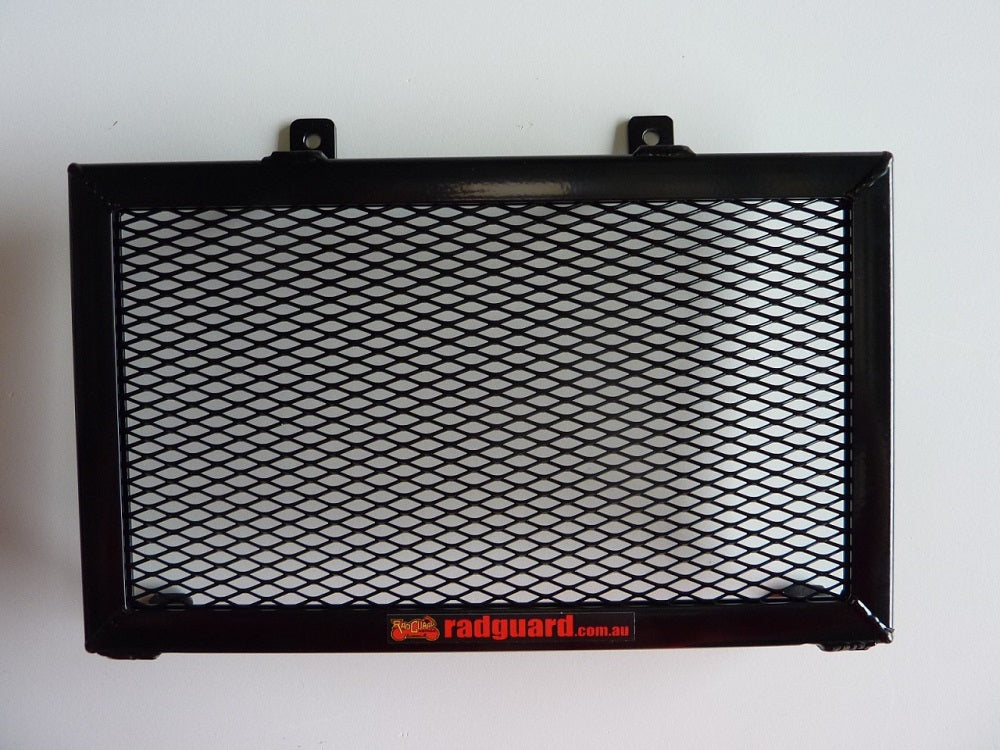 BMW Fun-Duro 1995-2000 Radiator Guard