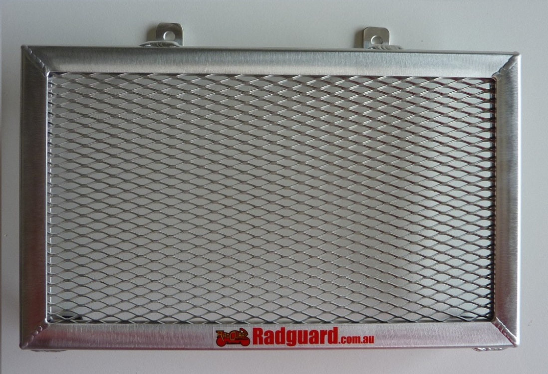 BMW Fun-Duro 1995-2000 Radiator Guard