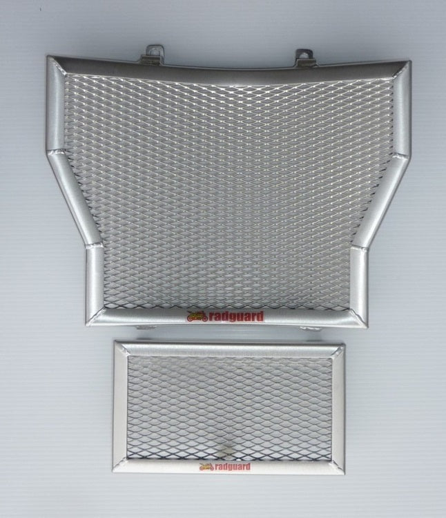 BMW S1000XR 2015- 2020 Radiator & Oil Guard