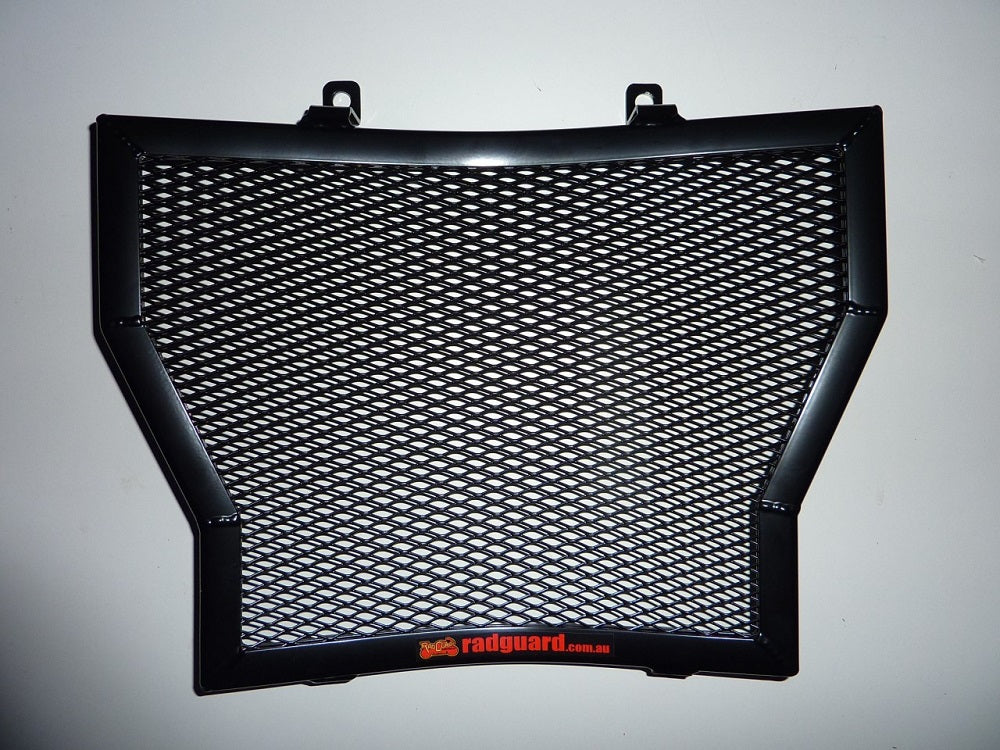 BMW S1000RR & HP4 2009-2018 Radiator Guard ONLY
