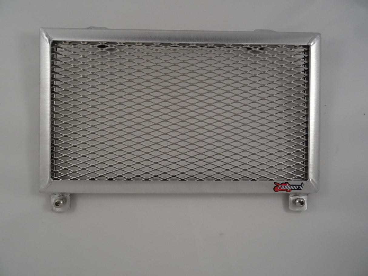 Kawasaki Eliminator 450 2024 Radiator Guard