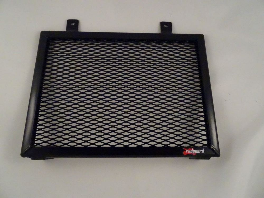 BMW G310 R 2018-2022 Radiator Guard