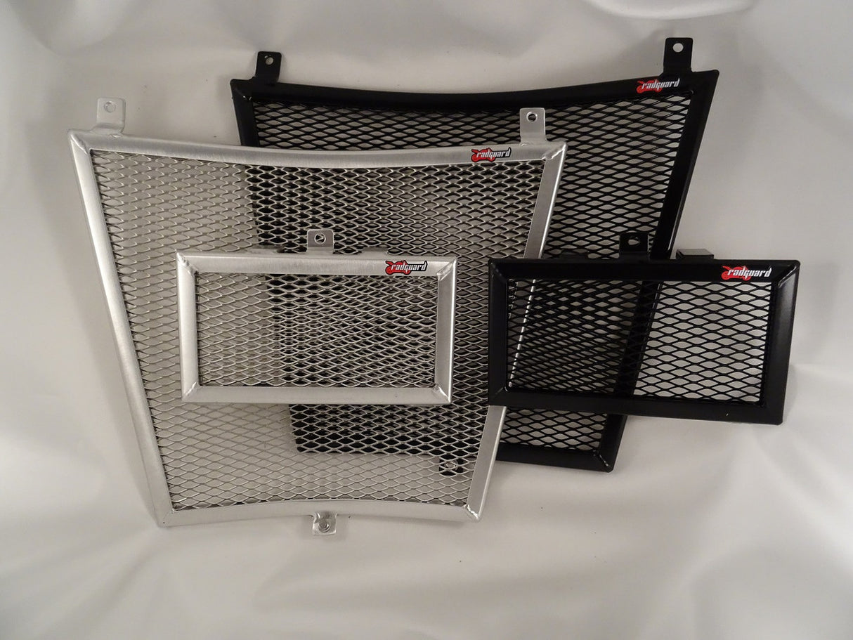 BMW S1000XR 2020- 2023 Radiator & Oil Guard