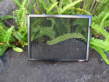 Load image into Gallery viewer, Triumph Trident 660 2021-2023 Radiator Guard