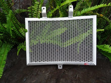 Load image into Gallery viewer, Harley Davidson Pan America 2020-2023 Radiator Guard