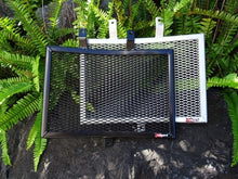 Load image into Gallery viewer, Harley Davidson Pan America 2020-2023 Radiator Guard