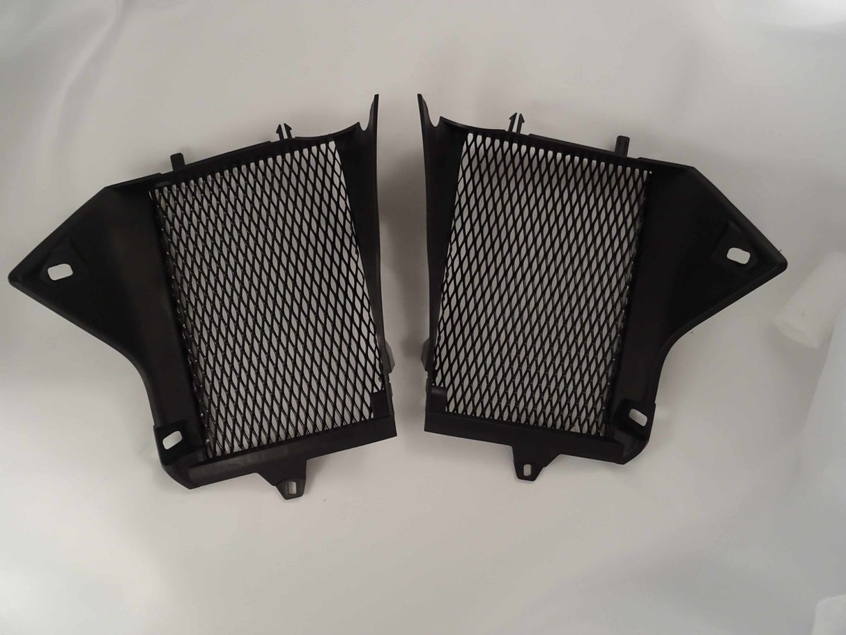 BMW R1200GS 2017-18 Radiator Guard