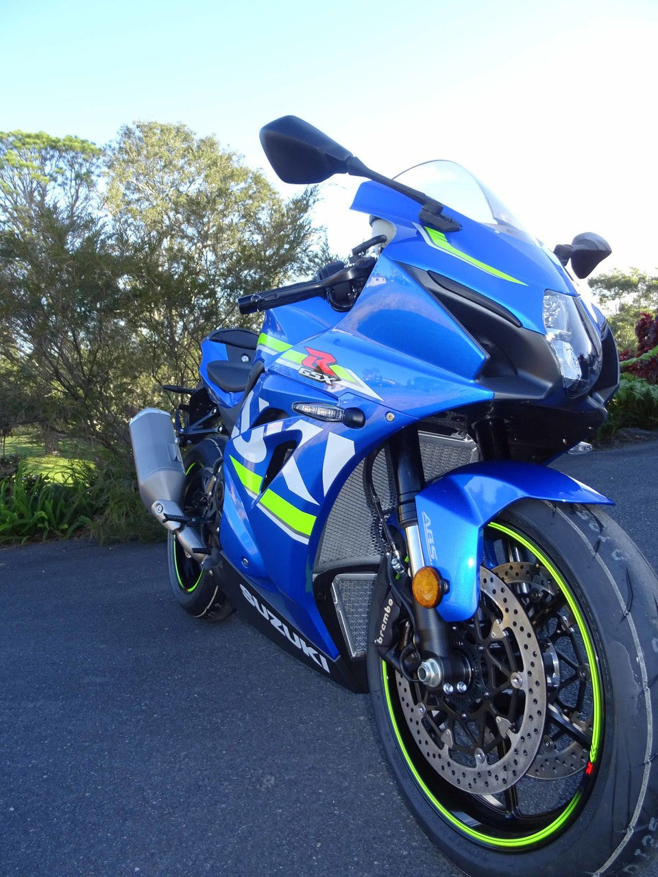 Suzuki GSX-R 1000 2017-2023 Radiator Guard ONLY