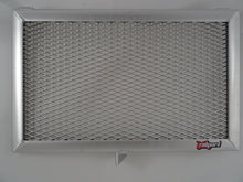 Load image into Gallery viewer, Kawasaki Z900 RS 2018-2020 Radiator Guard