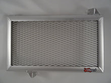 Load image into Gallery viewer, Suzuki SV650 / X / XA 2016-2023 Radiator Guard