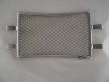 Load image into Gallery viewer, Indian FTR 1200 / S / Rally / R Carbon 2019-2025 Radiator Guard & Oil Guard Set