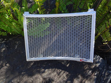 Load image into Gallery viewer, KTM 890 Duke R / GP 2020-2023 Radiator Guard