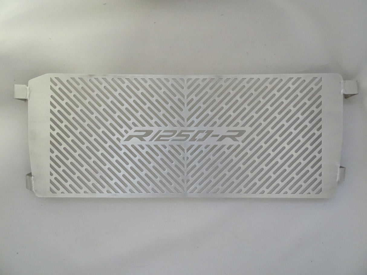 BMW R1250 RS 2019-2023 Radiator Guard