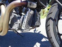 Load image into Gallery viewer, Indian FTR 1200 / S / Rally / R Carbon 2019-2025 Radiator Guard & Oil Guard Set