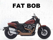 Load image into Gallery viewer, Harley Davidson Softail Range 2018-2023 Oil Cooler Guard