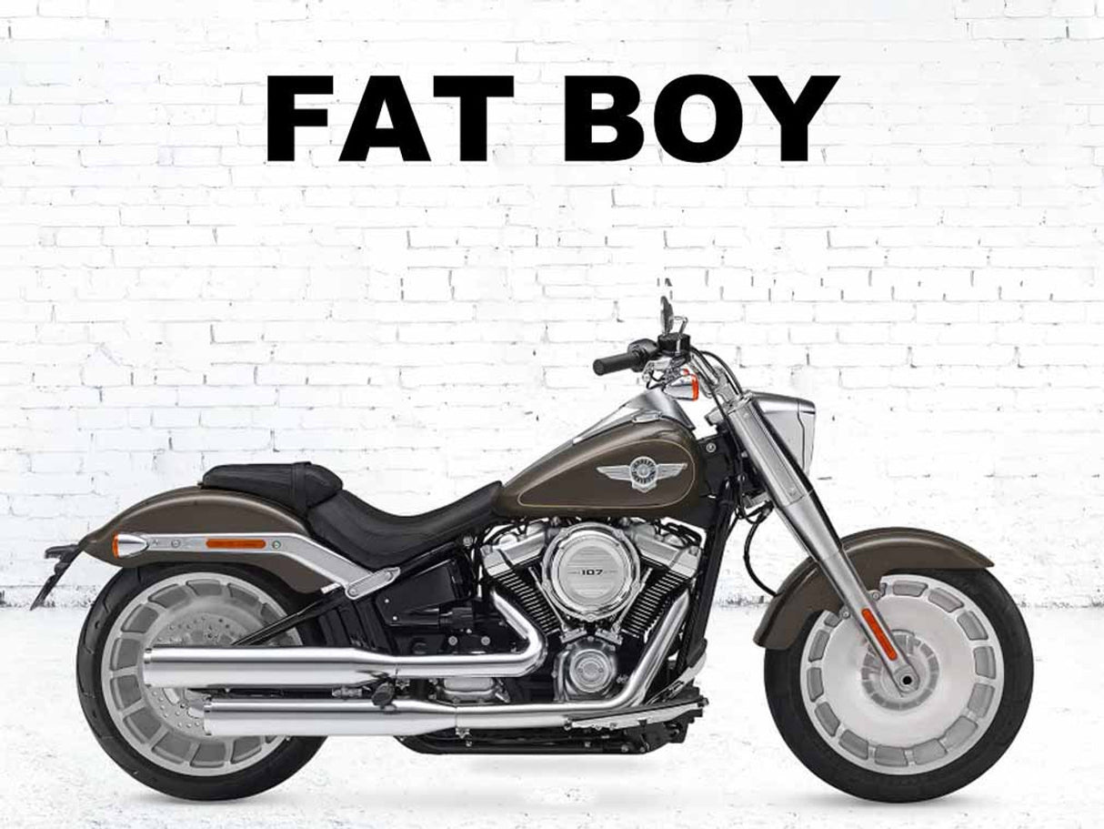 Harley Davidson Softail Range 2018-2023 Oil Cooler Guard