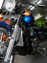 Load image into Gallery viewer, Kawasaki Vulcan 900 Classic, Custom & LT 2006-2023 Radiator Guard