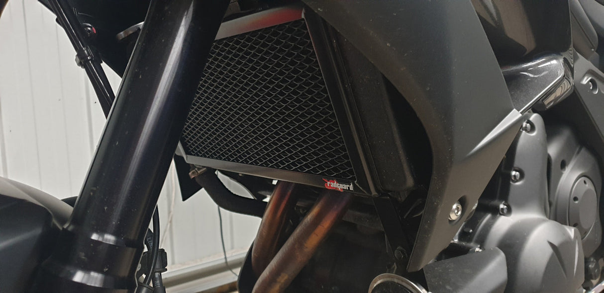 Kawasaki Versys 650 ABS / L ABS 2015-2023 Radiator Guard