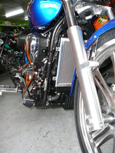 Load image into Gallery viewer, Kawasaki Vulcan 900 Classic, Custom & LT 2006-2023 Radiator Guard