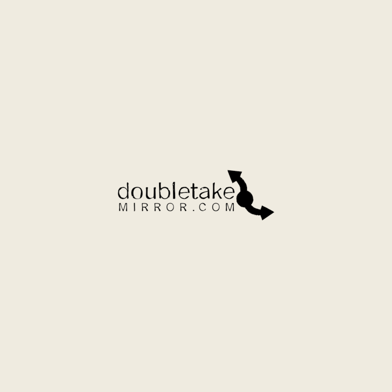 DoubleTake Mirrors