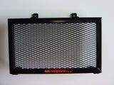 BMW Fun-Duro 1995-2000 Radiator Guard