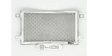 Husqvarna Vitpilen 401 2024-25 Radiator Guard