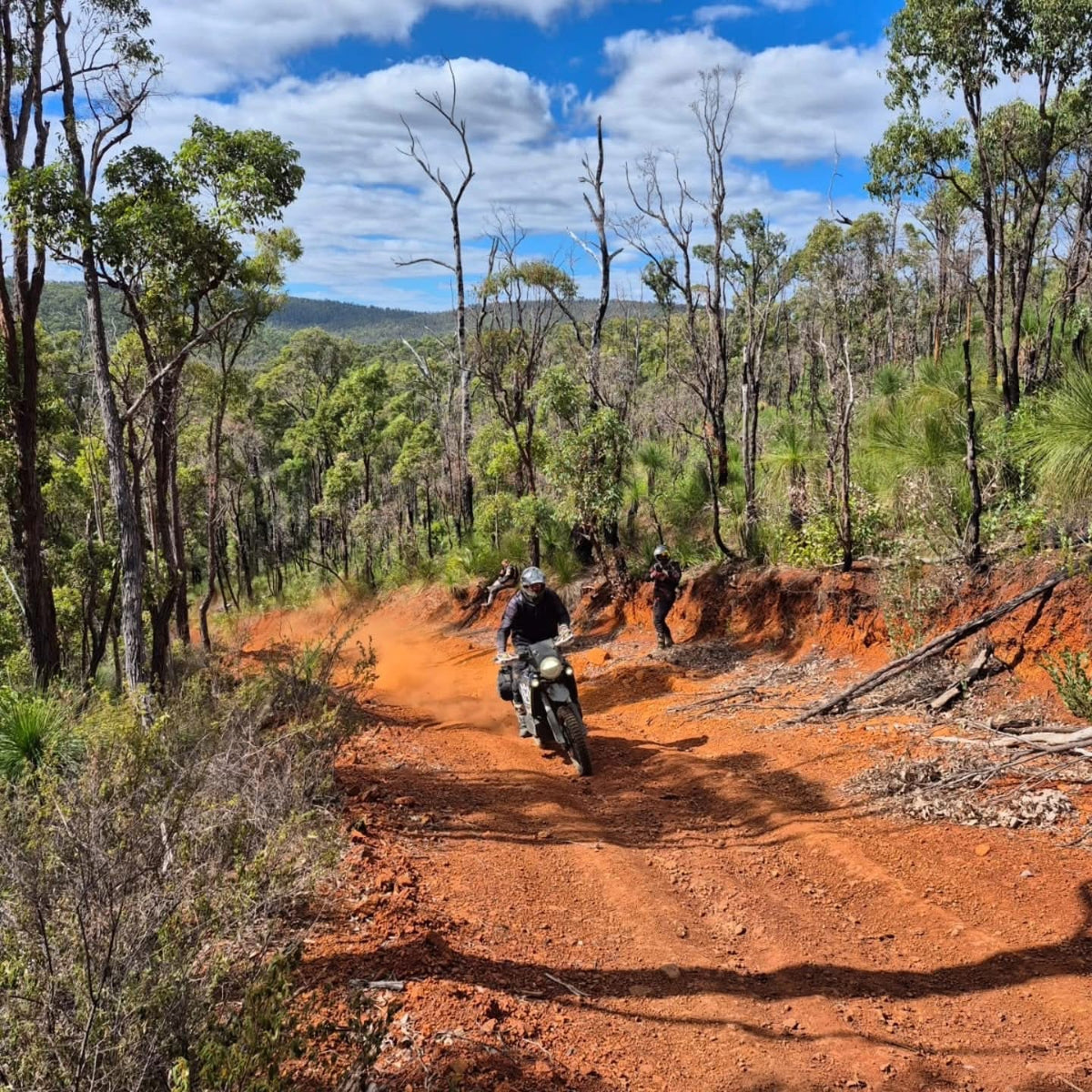 The Best of the South West Tour
