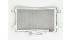 Husqvarna Svartpilen 401 2024-25 Radiator Guard