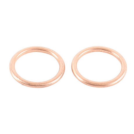 Exhaust Gasket Kit 823003