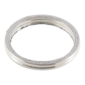Exhaust Gasket Kit 823070