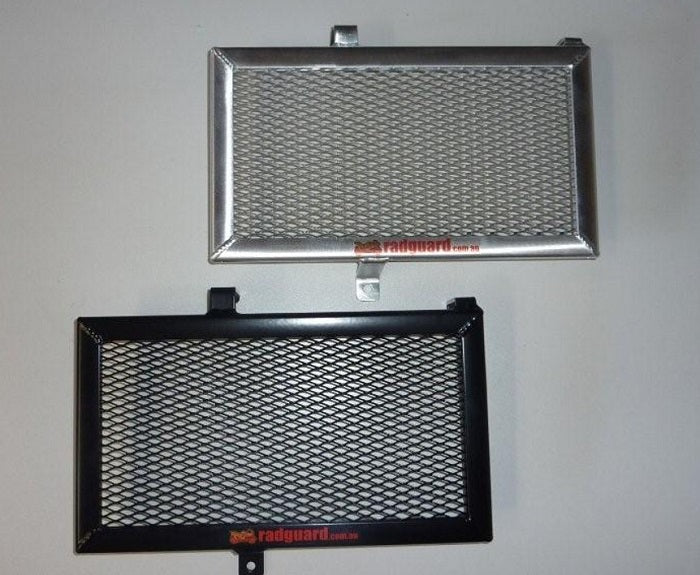 BMW F800R 2009-2019 Radiator Guard