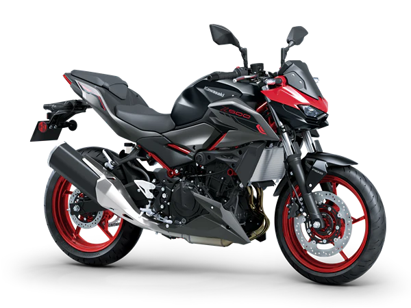 Kawasaki Z500 / SE 2024-25 Radiator Guard
