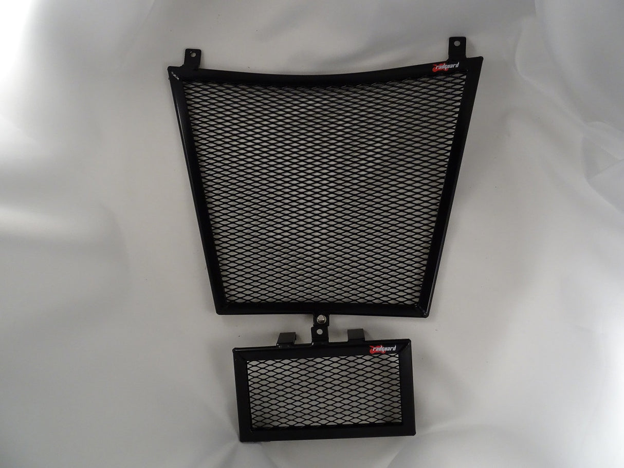 BMW S1000XR 2020- 2023 Radiator & Oil Guard