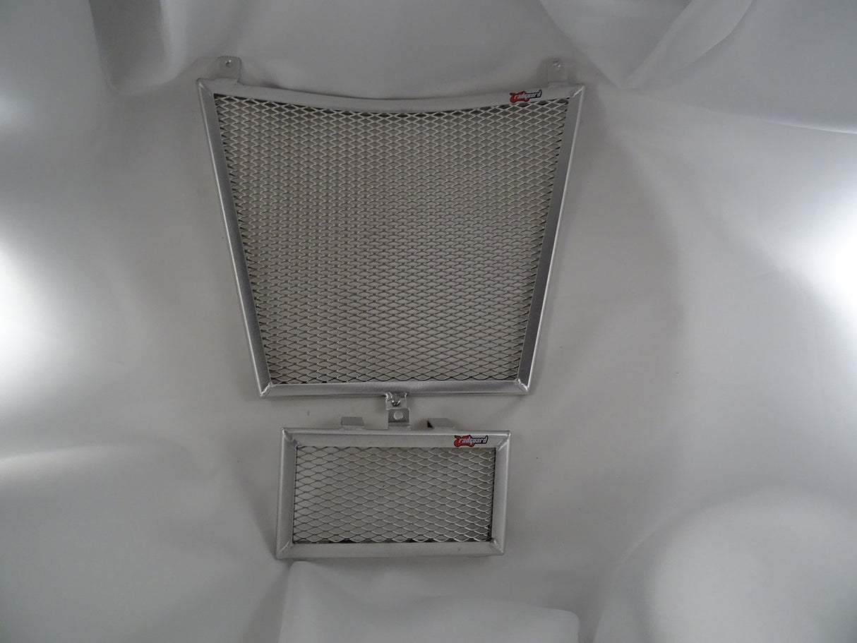 BMW S1000XR 2020- 2023 Radiator & Oil Guard