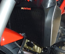 Load image into Gallery viewer, Ducati Monster 821 / Dark / Stripe 2014-2023 Radiator Guard