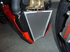 Ducati Street Fighter V2 Bottom Radiator Guard Only