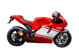Ducati Desmosedici RR Radiator & Oil Guard Set