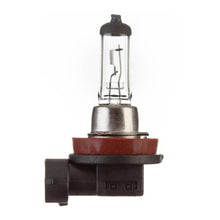 Load image into Gallery viewer, Globe 12V 55W H/L H11 Halogen (ea)