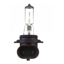 Load image into Gallery viewer, Globe 12V 55W H/L HB4 Plastic Base Halogen (ea)