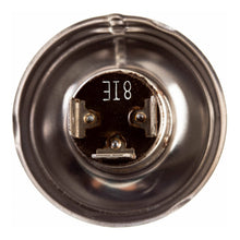 Load image into Gallery viewer, Globe 12V 35/35W H/L Halogen P45T-41 FZR250/400 (ea)