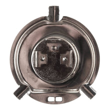 Load image into Gallery viewer, Globe 12V 45/45W H4 Halogen (ea)