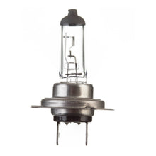 Load image into Gallery viewer, Globe 12V 55w H/L H7 Halogen (ea)