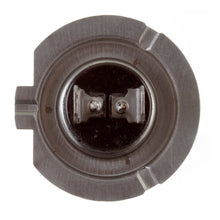 Load image into Gallery viewer, Globe 12V 55w H/L H7 Halogen (ea)