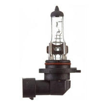 Load image into Gallery viewer, Globe 12V 45w H/L H10 Halogen (ea)