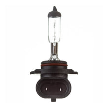 Load image into Gallery viewer, Globe 12V 45w H/L H10 Halogen (ea)