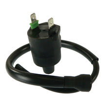 Load image into Gallery viewer, J&amp;N Ignition Coil (160-01020) (AHCIHA0002)