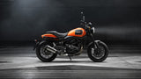 Harley-Davidson X500 2023-2025 Radiator Guard