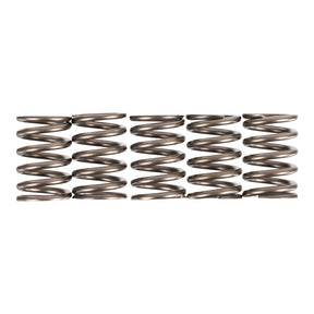 Premier Clutch Springs - Heavy Duty