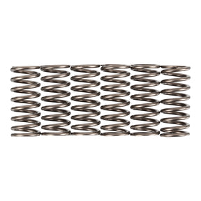 Premier Clutch Springs - Heavy Duty