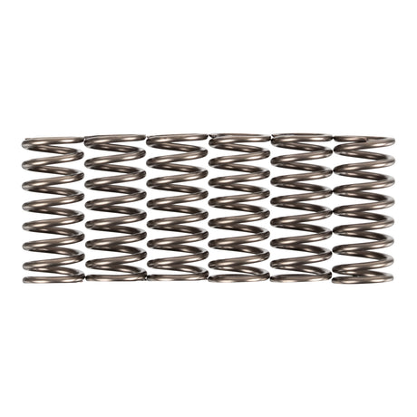 Premier Clutch Springs - Heavy Duty